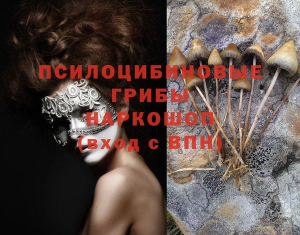синтетический гашиш Арсеньев