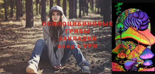 PSILOCYBIN Армянск