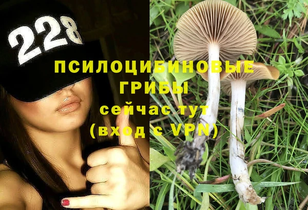 скорость Баксан