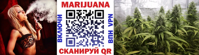 цена   Павлово  Конопля план 